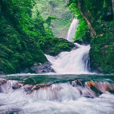 八门云app下载
